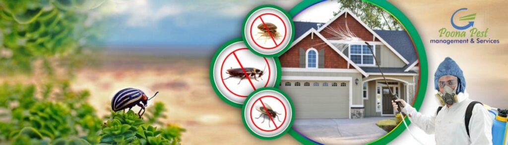 Pest-Control-services-in-Pune,