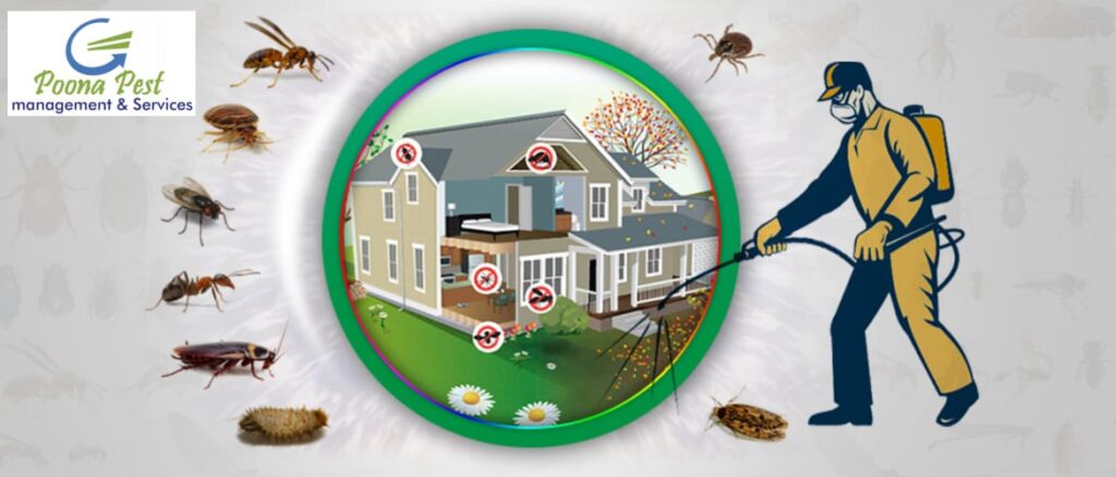 Mosquito-Control-Services-in-Pune